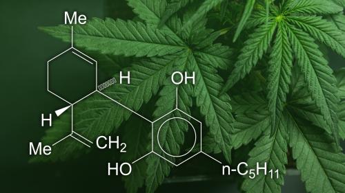 Hemp Patch: Complete Guide to Quality Hemp-Derived CBD Delivery