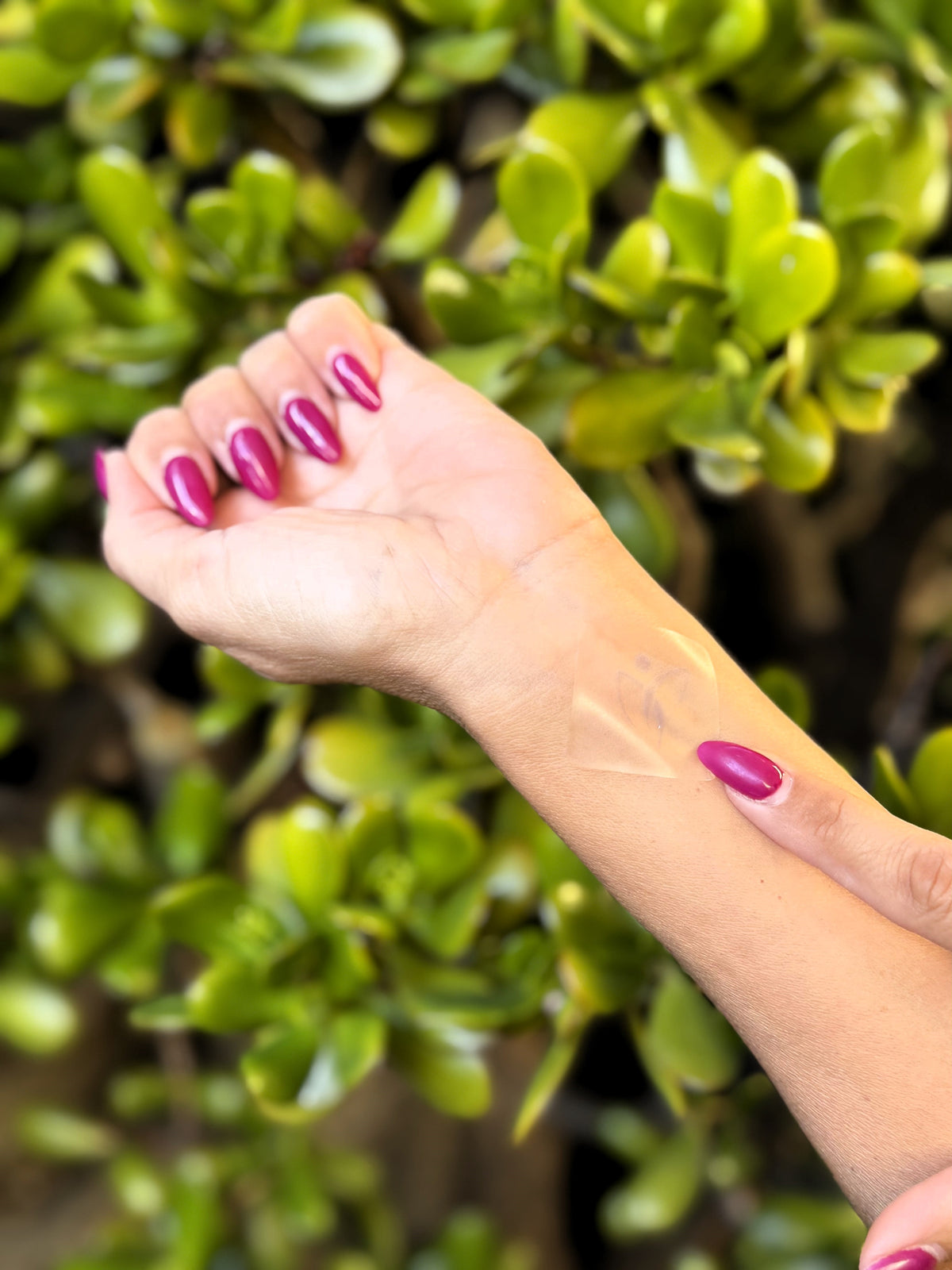 Pain Relief Patches 15 ct. (120 mg)